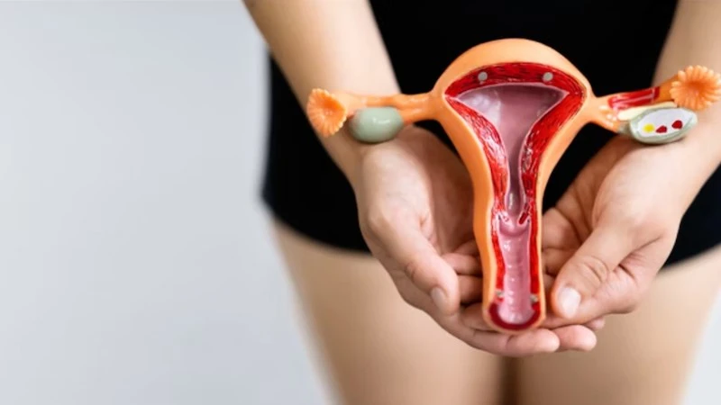 Medical image