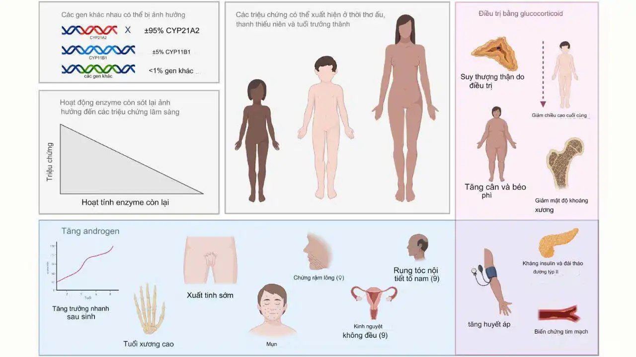 Xét Nghiệm Sàng Lọc Sơ Sinh tại Quy Nhơn: Những Điều Cần Biết và Quy Trình Thực Hiện