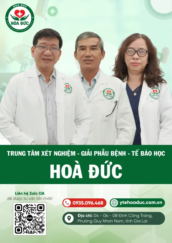 Bìa hồ sơ năng lực trung tâm