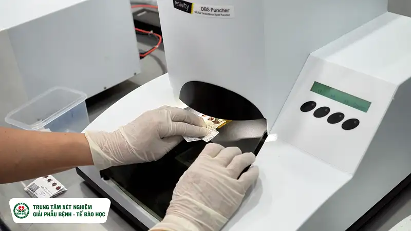 Máy cắt mẫu Máy cắt mẫu