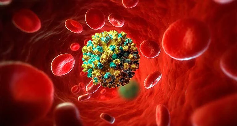 Viêm Gan B Có Lây Không? Các Con Đường Lây & Cách Phòng Ngừa Hiệu Quả