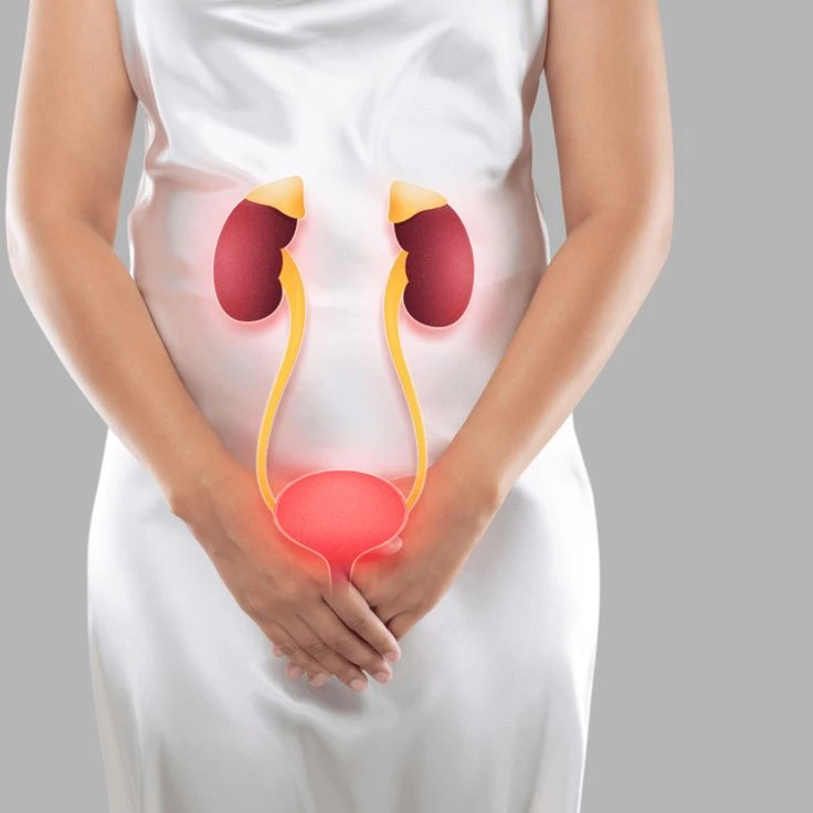 urinary tract infection and treatement at Hoa Duc Clinic
