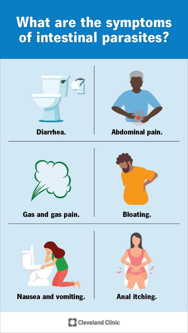 Intestinal Parasites Treatment in Vietnam: A Quick Guide