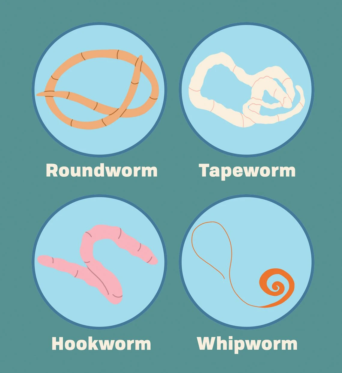 Roundworm-and-Hookworm-Treatment