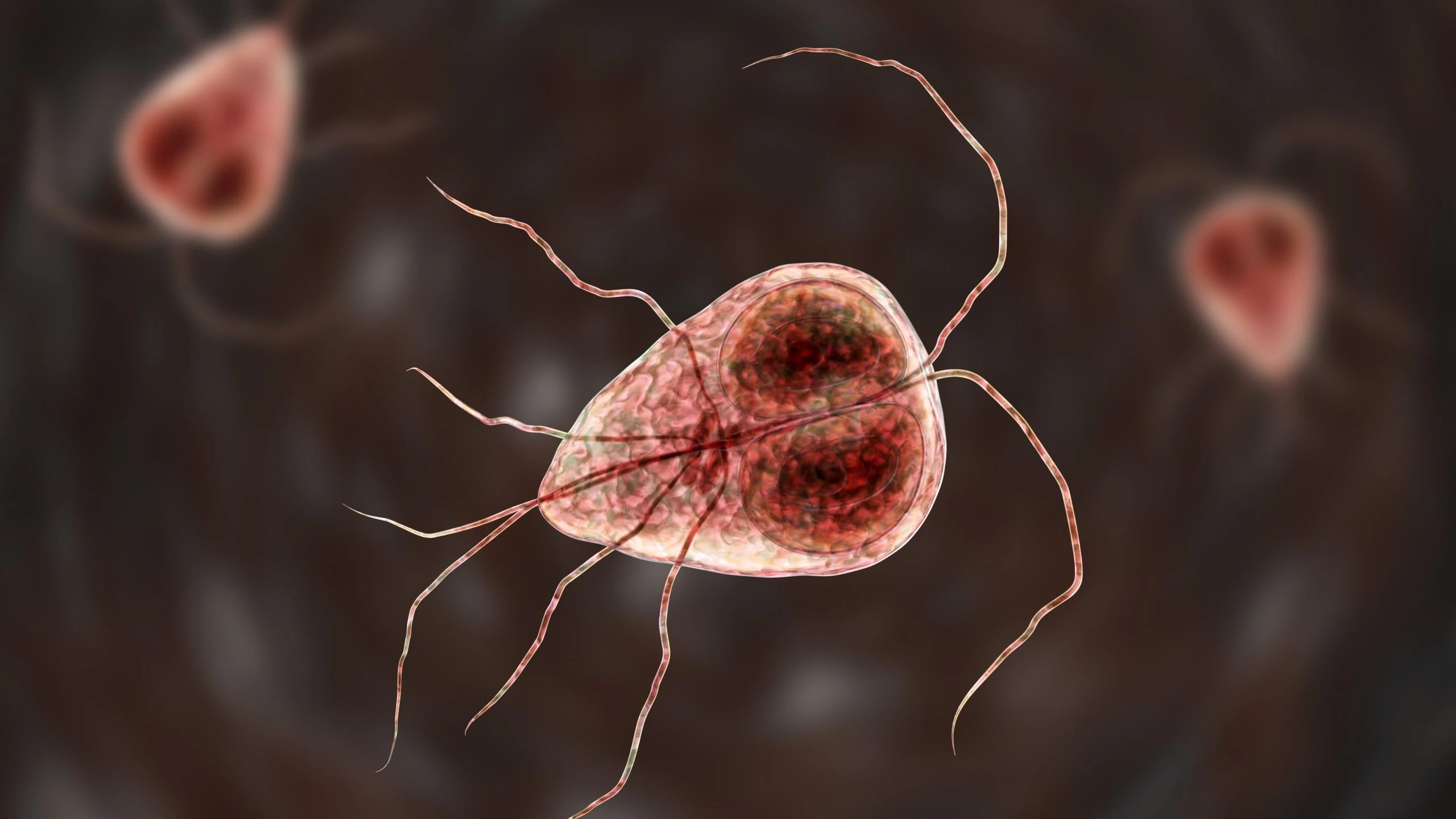 Giardia & Amoeba Diarrhea Treatment in Vietnam: A Quick Guide