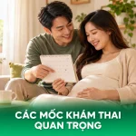 Các Mốc Khám Thai Quan Trọng Mẹ Bầu Không Nên Bỏ Lỡ